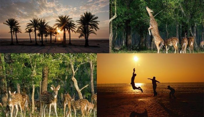 নিঝুম দ্বীপ ভ্রমণের আদ্যোপান্ত 