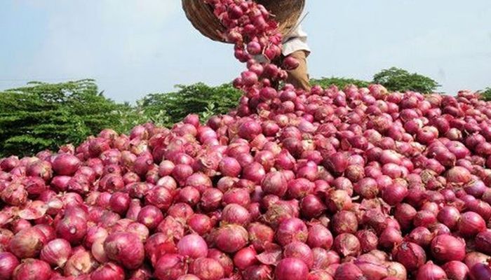 খোলা বাজারে টিসিবির পেঁয়াজ বিক্রি আজ শুরু   
