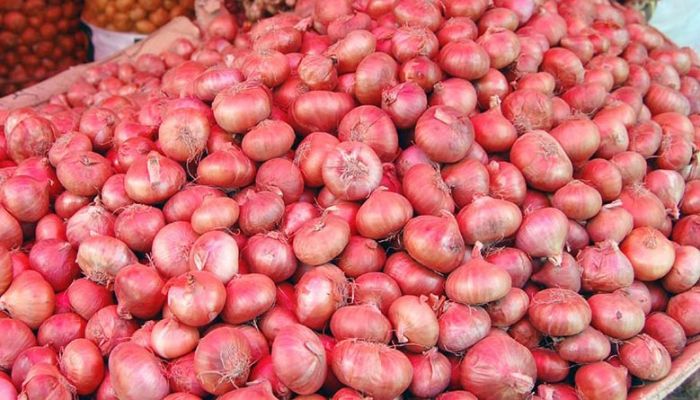 হিলি স্থলবন্দরে পেঁয়াজ আমদানি বন্ধ