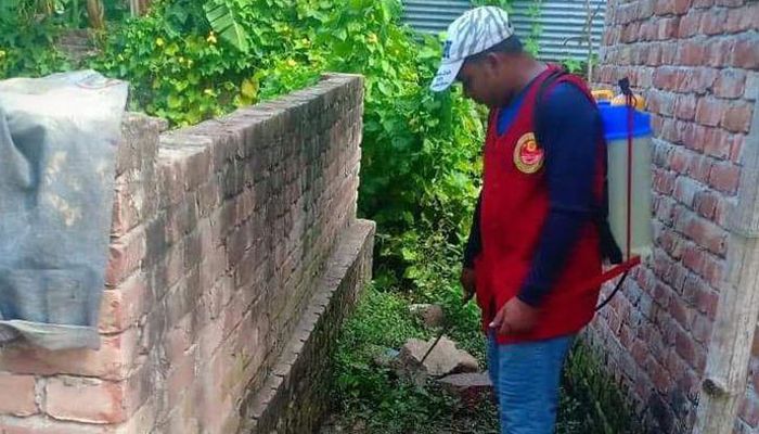 ডিএনসিসির অভিযানে রাজধানীর ১২৯ স্থাপনায় এডিসের লার্ভা