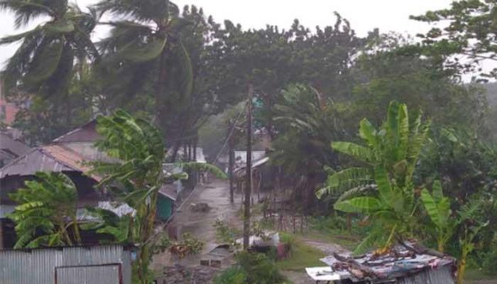 ঘূর্ণিঝড় বুলবুল: পটুয়াখালীতে গাছচাপায় নিহত ১  