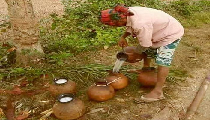 খেজুরের কাঁচা রস পানে মৃত্যু ঝুঁকি