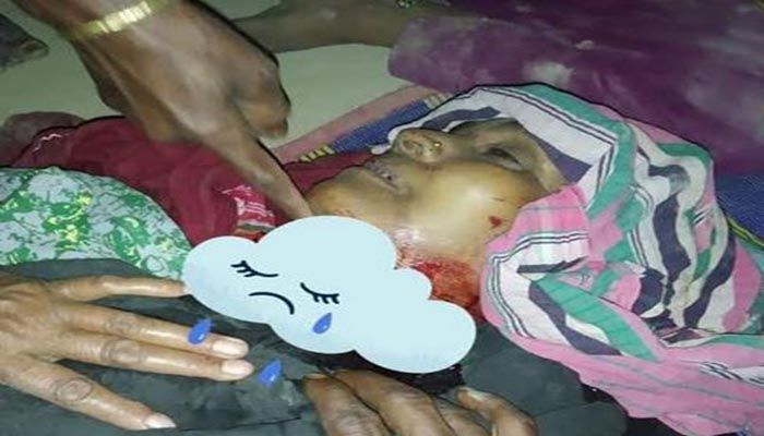  ছেলের কুড়ালের আঘাতে মা নিহত 