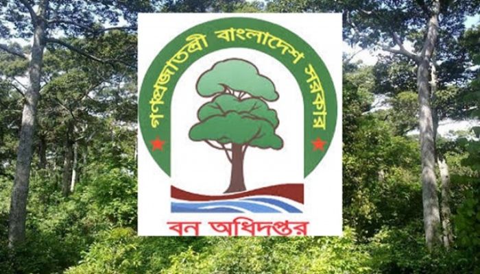 বন অধিদফতরে ২১ হাজার টাকার চাকরি