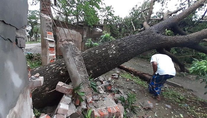 আমফানে লণ্ডভণ্ড যশোর