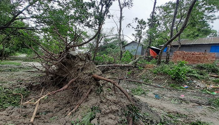 আমফানে পাবনায় ব্যাপক ক্ষয়ক্ষতি