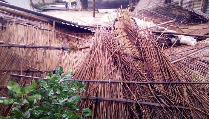 নাটোরে আমফানে ফসল ও গাছপালার ক্ষয়ক্ষতি  