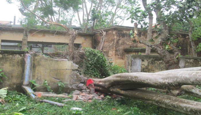 যশোরে আমফানের আঘাতে ৪ জনের মৃত্যু, আহত শতাধিক