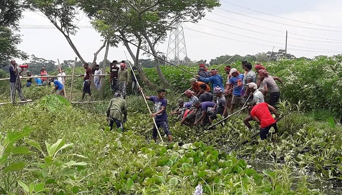 বিলের ধান আনতে স্বেচ্ছাশ্রমে ৩ কি.মি. খালের কচুরিপানা পরিষ্কার