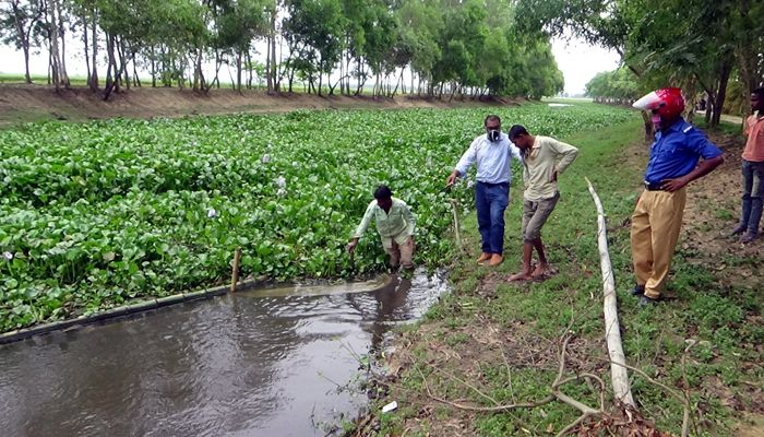 রক্তদহ বিল ও খাল থেকে কচুরিপানা পরিষ্কার