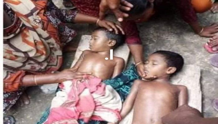 নাটোরে পানিতে ডুবে ২ শিশুর মৃত্যু
