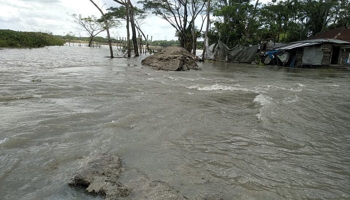 আমফানে ভাঙা বেড়িবাঁধ দিয়ে পানি ঢুকে নিম্নাঞ্চল প্লাবিত   