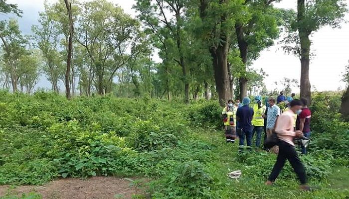 ঠাকুরগাঁওয়ে বাগানের গর্তে মিললো অজ্ঞাত নারীর লাশ