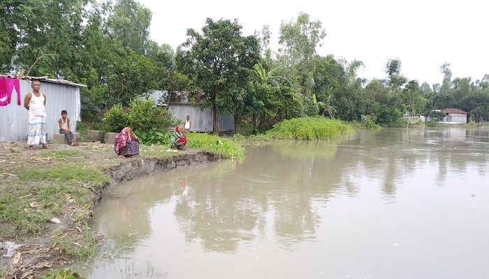 তিস্তার পানি কমলেও বেড়েছে নদী ভাঙন