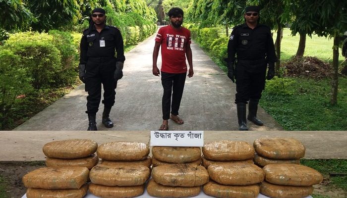 দিনাজপুরে ৫১ কেজি গাজাসহ যুবক আটক