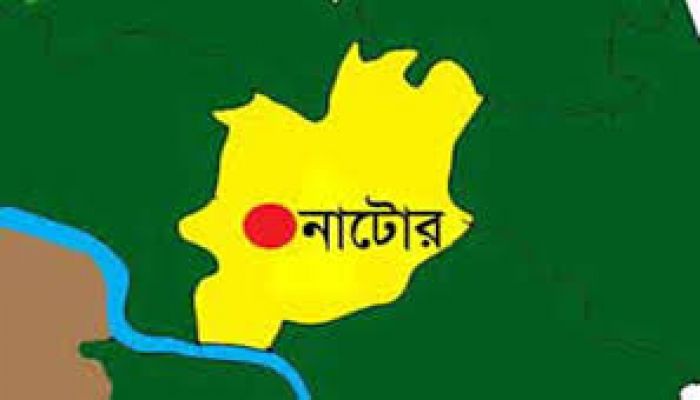 নাটোরে সাপের কামড়ে গৃহবধূর মৃত্যু 