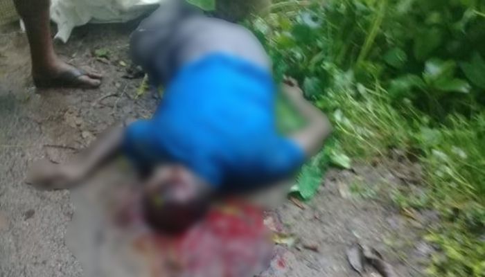 রাজবাড়ীতে ব্যবসায়ীকে প্রকাশ্যে গুলি করে হত্যা