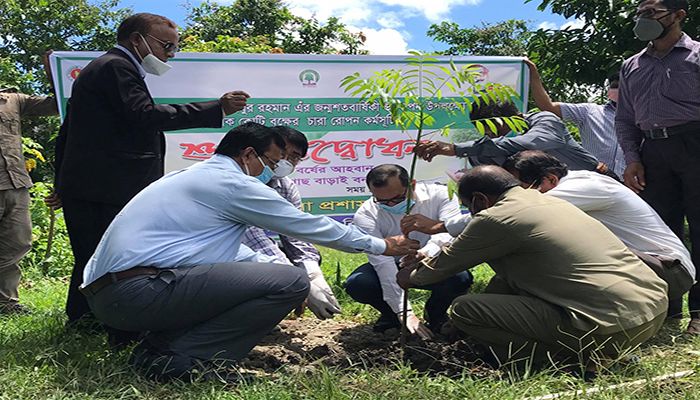 বাগেরহাটে মুজিববর্ষ উপলক্ষে বৃক্ষরোপণ কর্মসূচি শুরু 