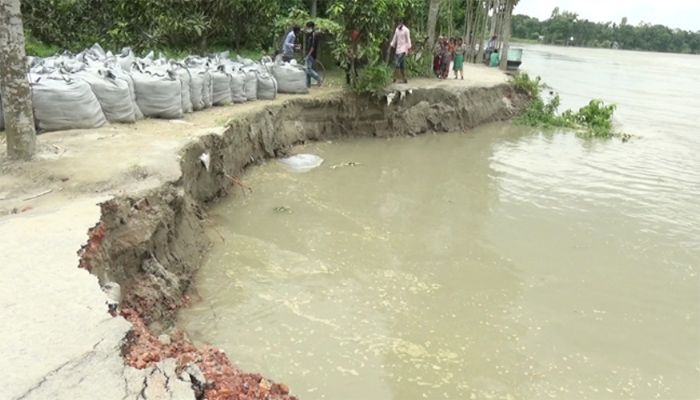 হুমকিতে টাঙ্গাইল শহর রক্ষা বাঁধ