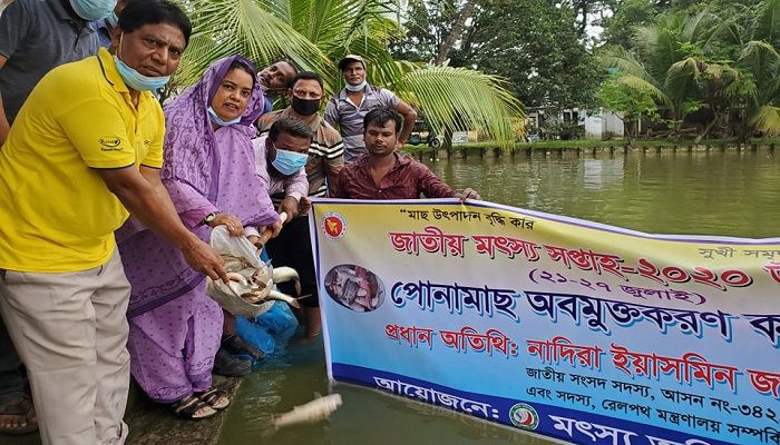পাবনায় মাছের পোনা অবমুক্ত 