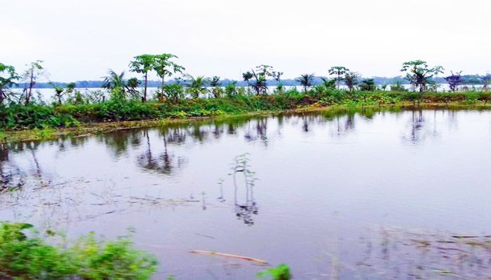সুনামগঞ্জে বন্যায় মৎস্যখাতে ২১ কোটি টাকার ক্ষতি