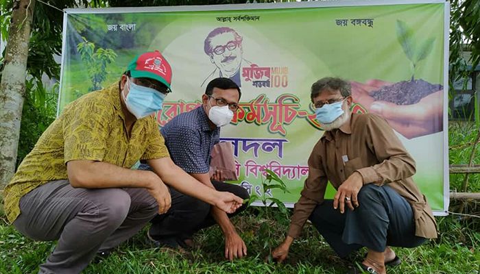 বাকৃবিতে নীলদলের বৃক্ষরোপণ কর্মসূচি