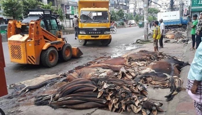 চট্টগ্রামে ময়লার ভাগাড়ে ১৫ হাজারের বেশি চামড়া