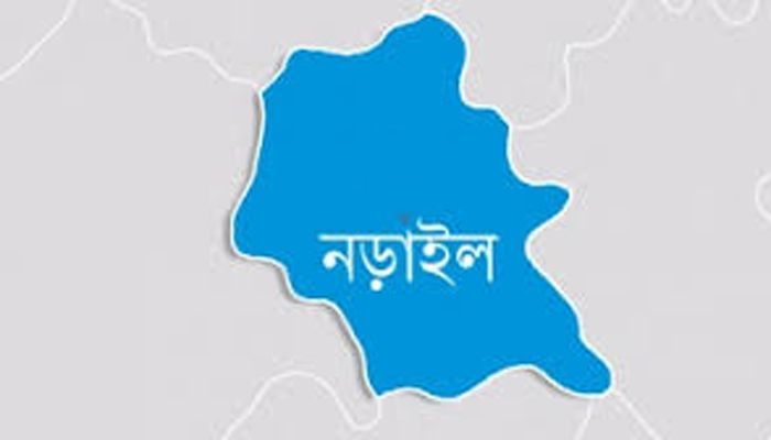 কালিয়ায় ভিমরুলের কামড়ে শিশুর মৃত্যু