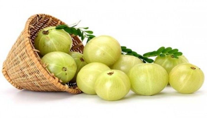 আমলকি দূর করবে নানা রোগ
