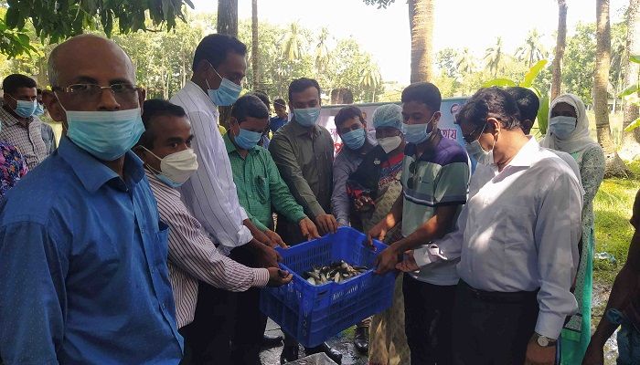 বাগেরহাটে মাছের পোনা বিতরণ