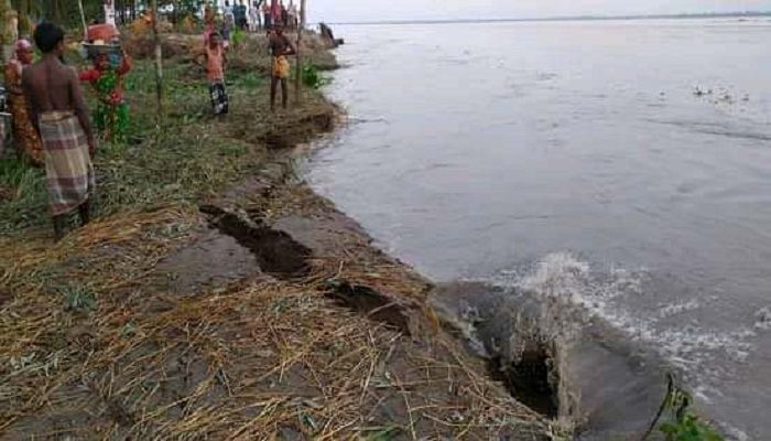 তিস্তার ভাঙনে পাঁচদিনে ৭৫ বাড়ি নদীগর্ভে