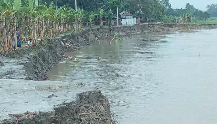 ব্রহ্মপুত্রের ভাঙনে তিন শতাধিক বসতভিটা বিলীন