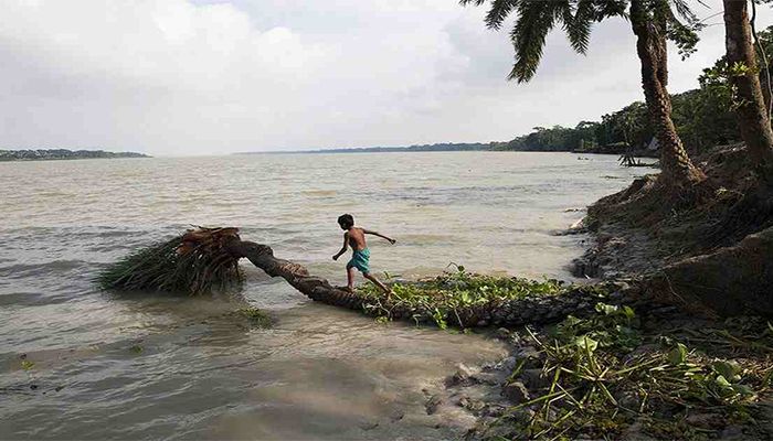 জলবায়ু পরিবর্তন: অভিযোজন সক্ষমতা বাড়ানো হবে দক্ষিণ এশিয়ায় 