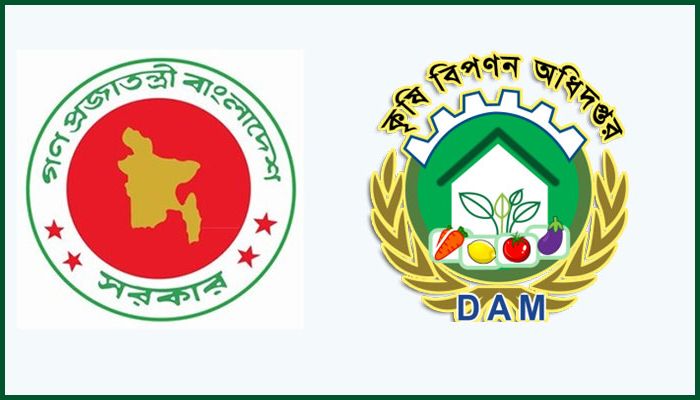 খুচরা পর্যায়ে আলু কেজি ৩০ টাকা, ডিসিদের নজরদারির নির্দেশ