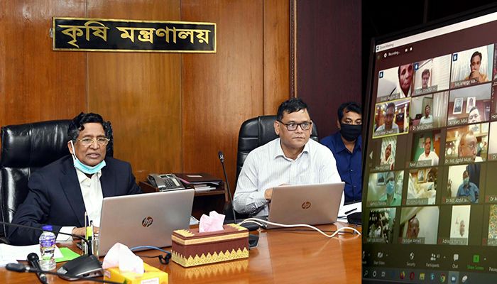 দেশে প্রতি বছর ৮০০ কোটির মাশরুম উৎপাদন