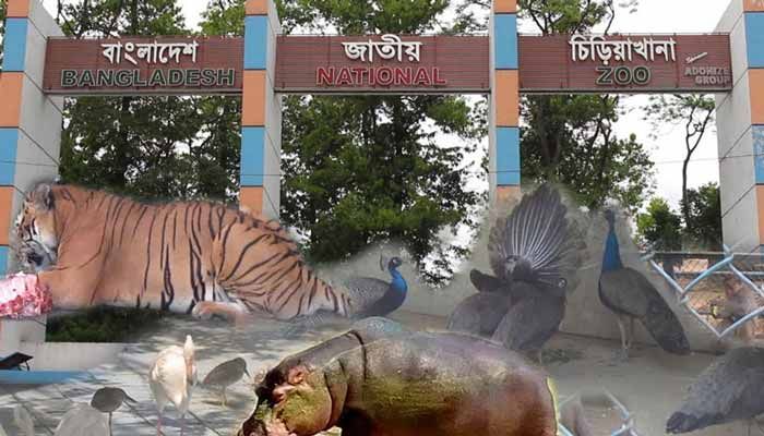 খুলছে চিড়িয়াখানা, রবিবার বিনামূল্যে প্রবেশ