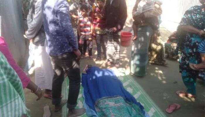 সরিষাবাড়ীতে খাদে পড়ে সিএনজিচালকের মৃত্যু