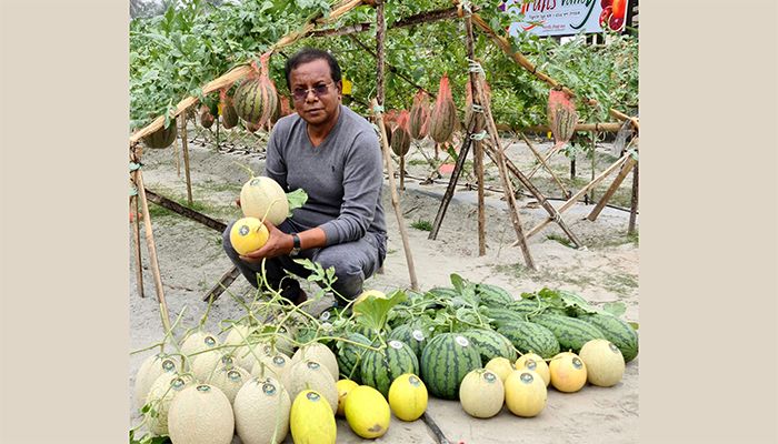 পরিত্যক্ত ইটভাটায় ফলছে বিদেশি ফল 