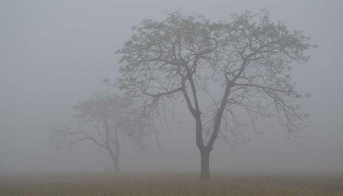 আগামী তিনদিনে শীত কমে আসবে