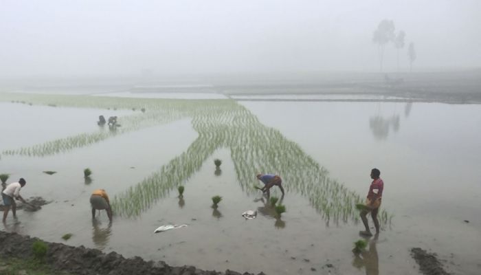 শৈত্যপ্রবাহে চরম দুর্ভোগে কুড়িগ্রামের মানুষ