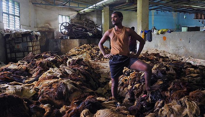 ৫ বিলিয়ন ডলারের বেশি চামড়াপণ্য রফতানি সম্ভব