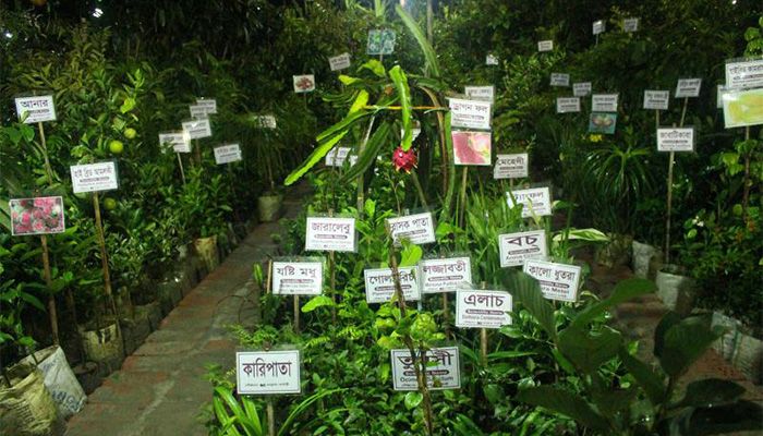 জাতীয় বৃক্ষমেলা ৫ জুন
