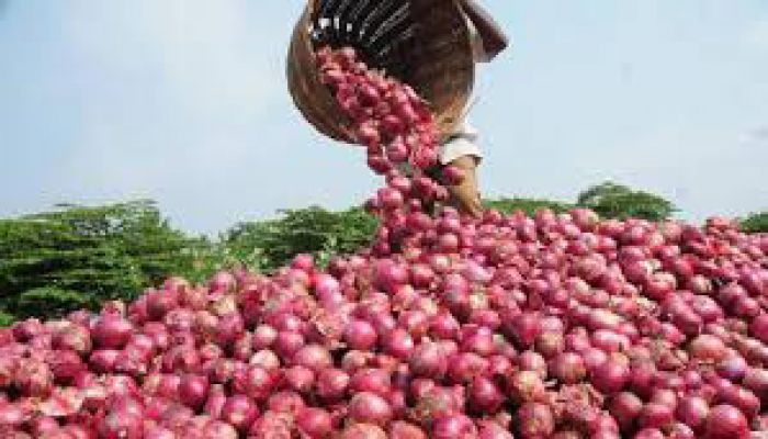 দাম কমেছে পেঁয়াজের