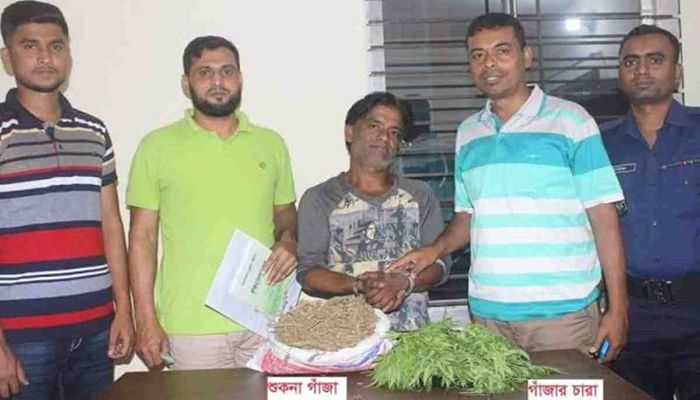 ছাদে ফুলের টবে গাঁজা চাষ, ১৯০টি চারাসহ আটক এক