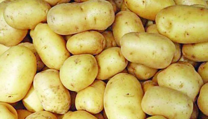 আলুর বাম্পার ফলনের সম্ভাবনা
