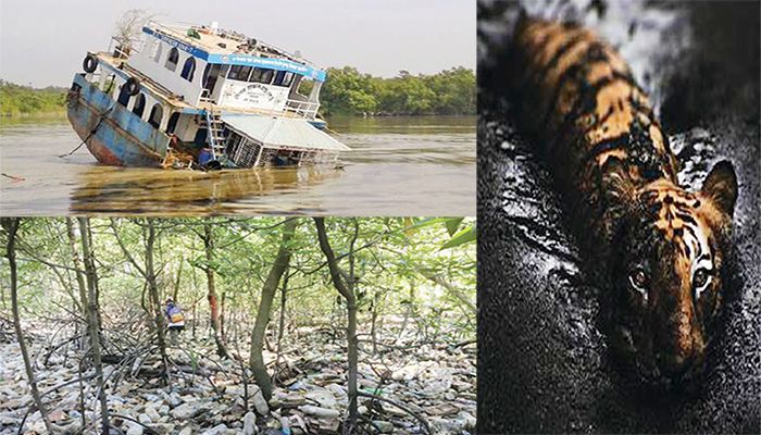 দূষণে রুগ্ণ সুন্দরবন