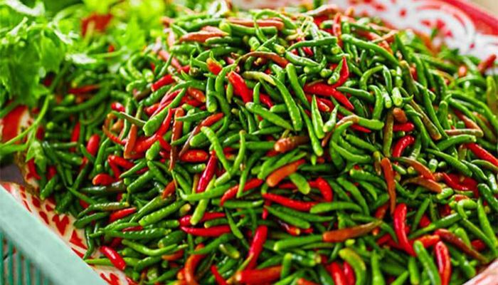 কাঁচা মরিচের যত গুণ