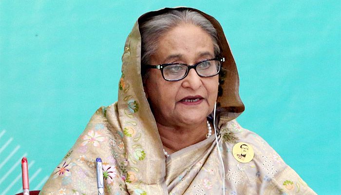 রোহিঙ্গাদের ফেরাতে মিয়ানমারকে চাপ দিন, ডি-৮ সম্মেলনে প্রধানমন্ত্রী