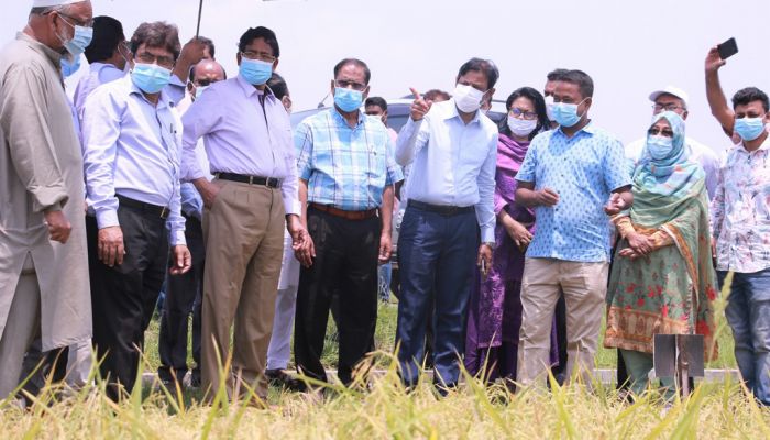 ক্ষতিগ্রস্ত কৃষকদের সহায়তা দিবে সরকার: কৃষিমন্ত্রী