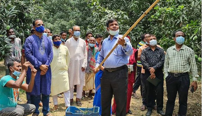 আম সংগ্রহ করছেন জেলা প্রশাসক মো. শাহ রিয়াজ